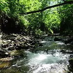 Potoczówka * Rzyki