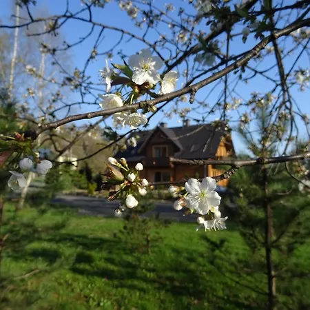 Potoczowka *