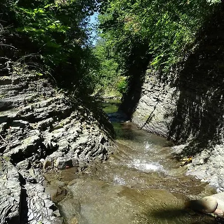 Potoczówka Rzyki